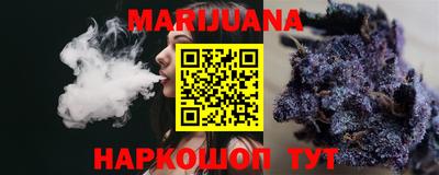 крисы Моздок