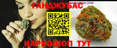 крисы Моздок