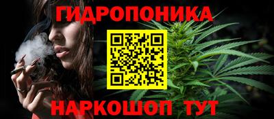 крисы Моздок
