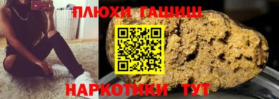 крисы Моздок