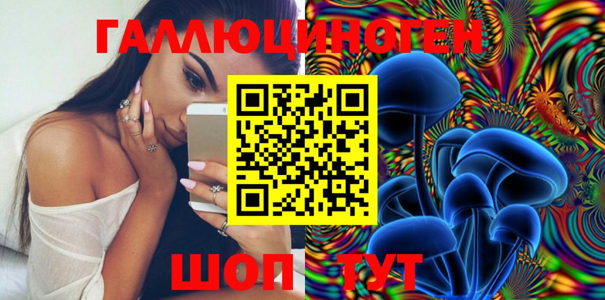 Галлюциногенные грибы Psilocybe Бугульма